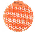 slant mango