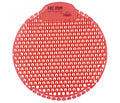 slant kiwi grapefruit