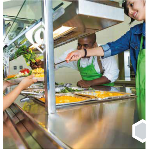 ARGONIT AF/2 - Čistič gastro vybavení s alkoholem, 750 ml